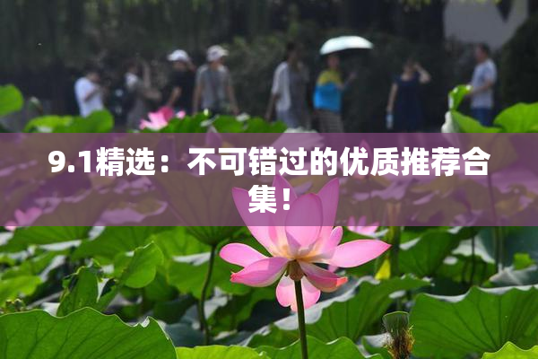 9.1精选：不可错过的优质推荐合集！