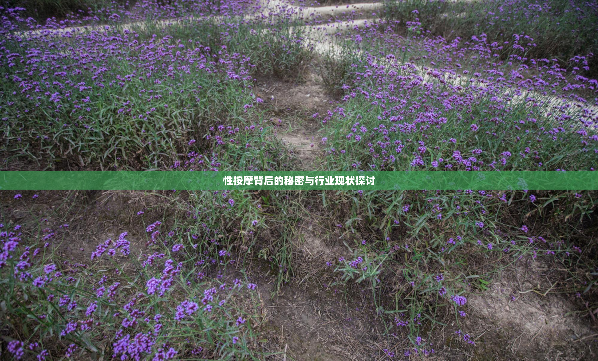性按摩背后的秘密与行业现状探讨