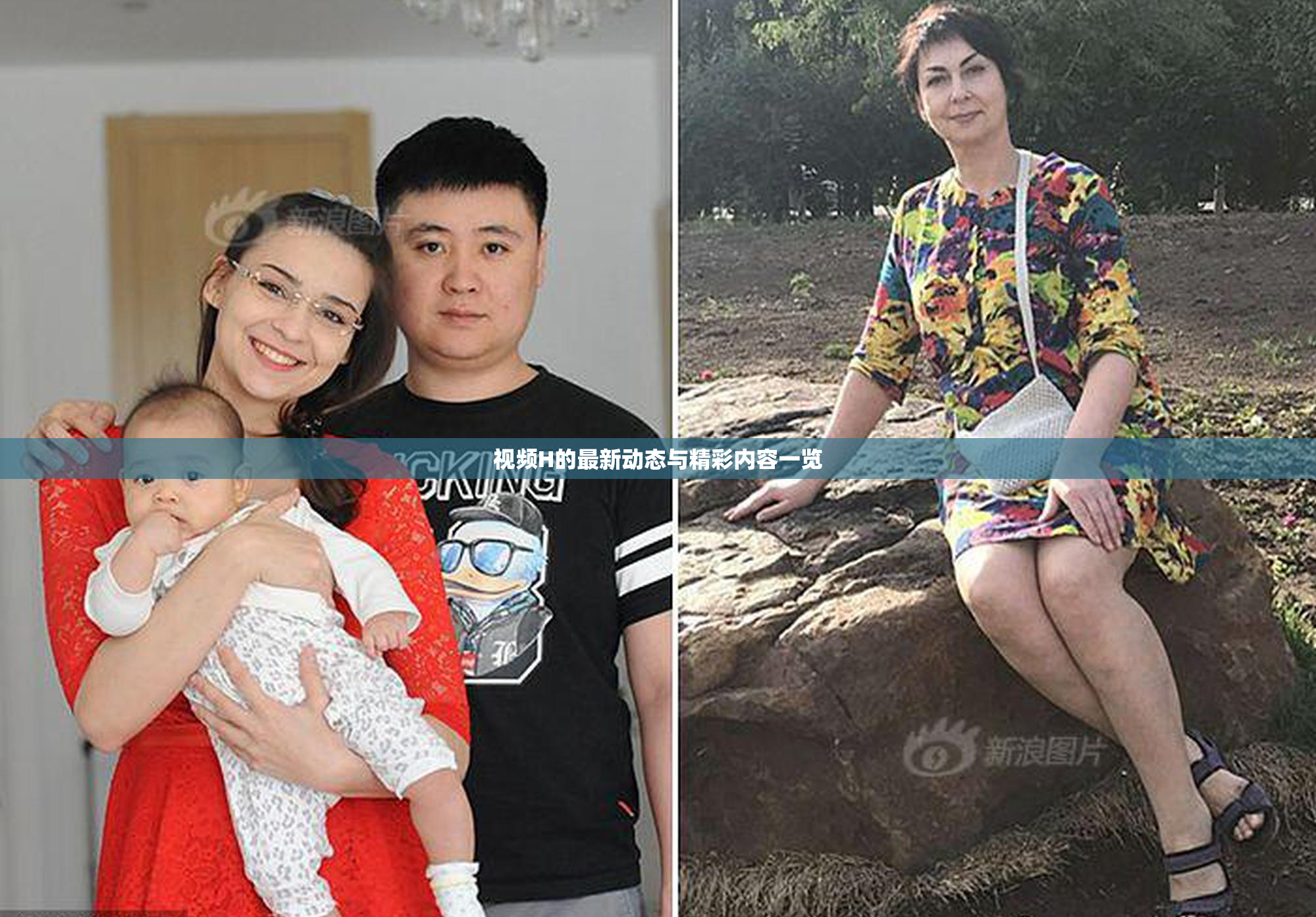视频H的最新动态与精彩内容一览