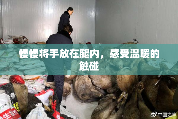 慢慢将手放在腿内，感受温暖的触碰