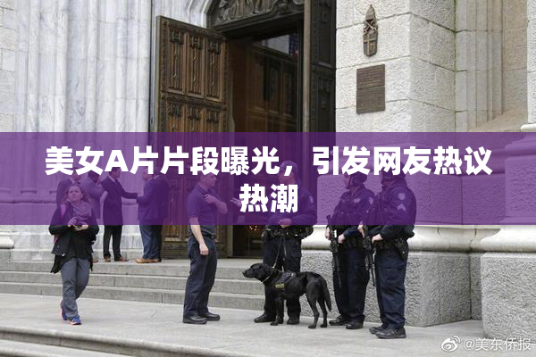 美女A片片段曝光，引发网友热议热潮