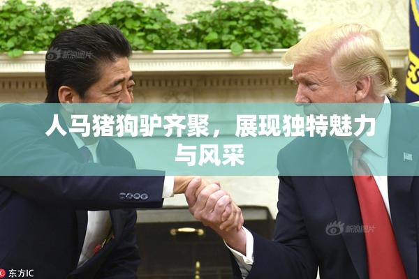 人马猪狗驴齐聚，展现独特魅力与风采