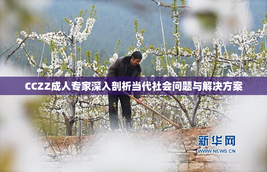 CCZZ成人专家深入剖析当代社会问题与解决方案
