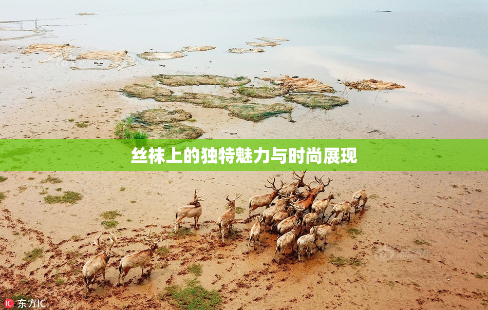 丝袜上的独特魅力与时尚展现