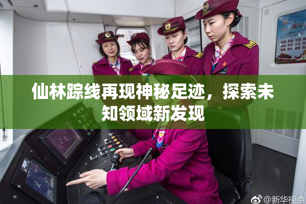 仙林踪线再现神秘足迹，探索未知领域新发现
