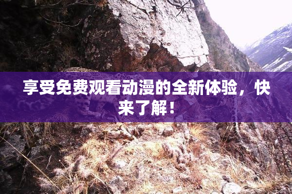享受免费观看动漫的全新体验，快来了解！