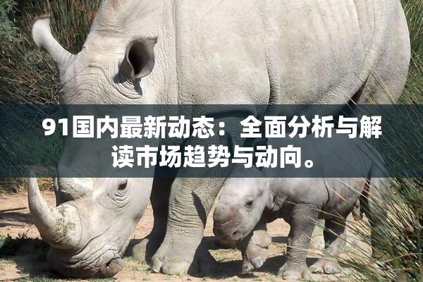 91国内最新动态：全面分析与解读市场趋势与动向。