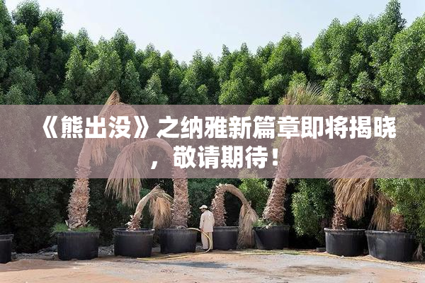 《熊出没》之纳雅新篇章即将揭晓，敬请期待！