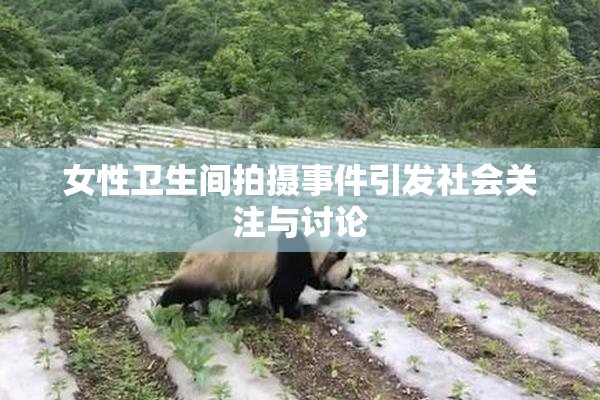 女性卫生间拍摄事件引发社会关注与讨论