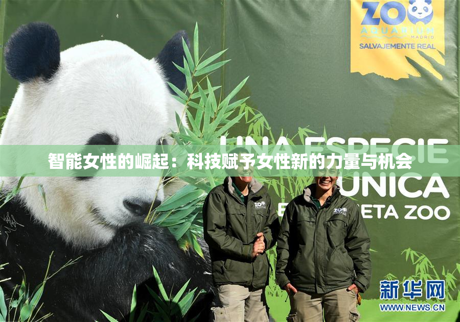 智能女性的崛起：科技赋予女性新的力量与机会