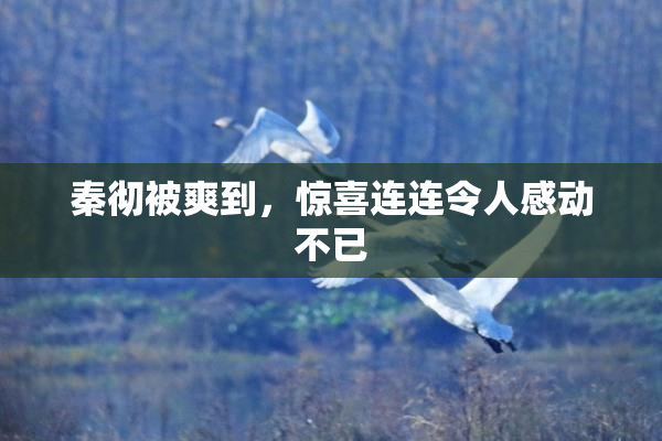 秦彻被爽到，惊喜连连令人感动不已