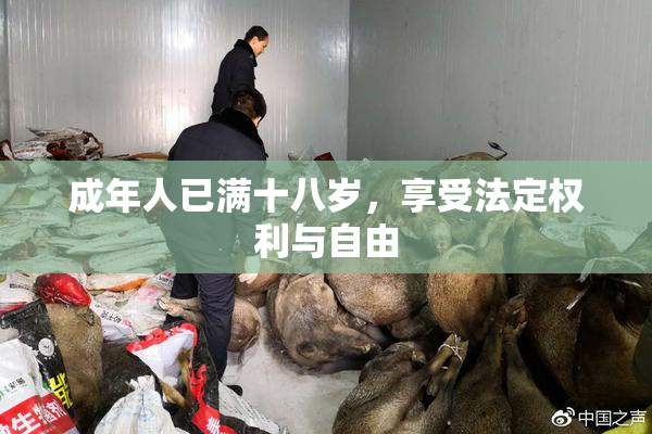 成年人已满十八岁，享受法定权利与自由