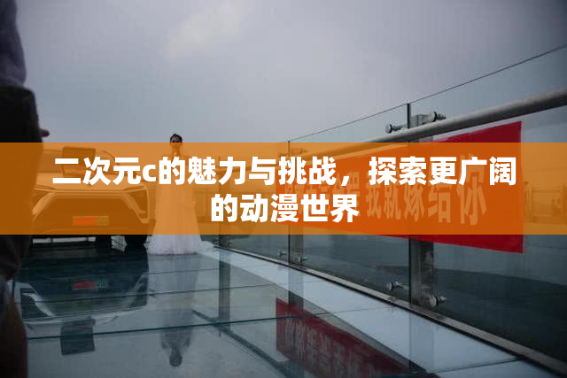 二次元c的魅力与挑战，探索更广阔的动漫世界