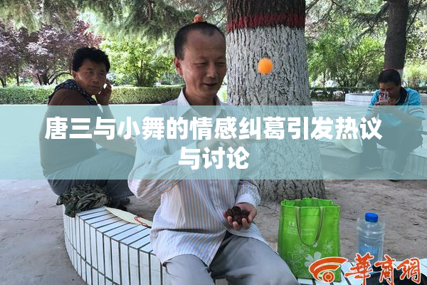 唐三与小舞的情感纠葛引发热议与讨论