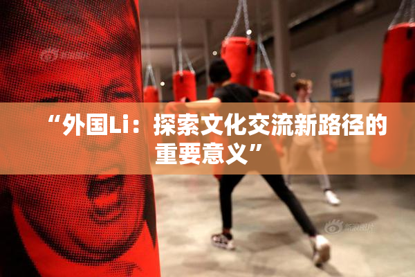 “外国Li：探索文化交流新路径的重要意义”