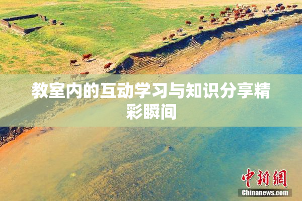 教室内的互动学习与知识分享精彩瞬间