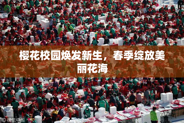 樱花校园焕发新生，春季绽放美丽花海