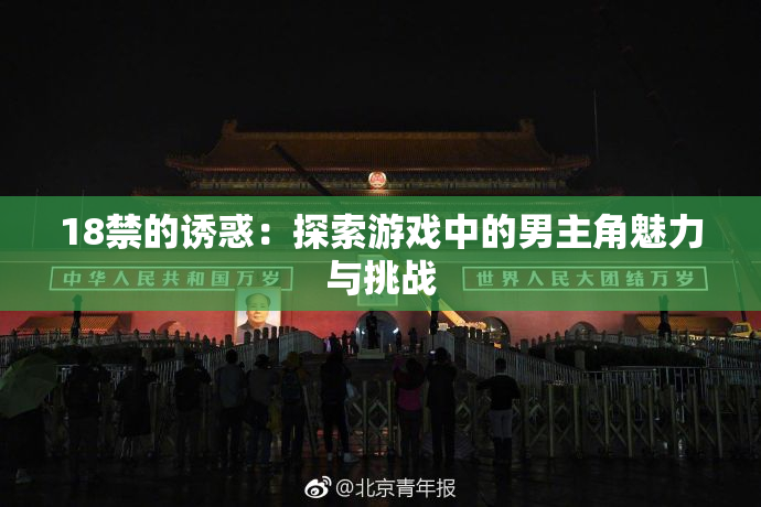 18禁的诱惑：探索游戏中的男主角魅力与挑战