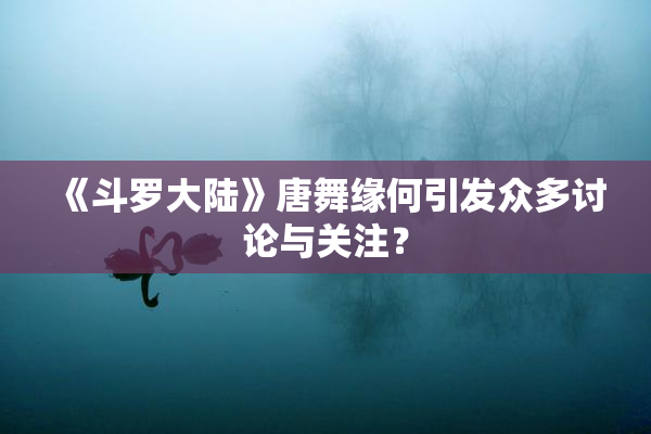 《斗罗大陆》唐舞缘何引发众多讨论与关注？