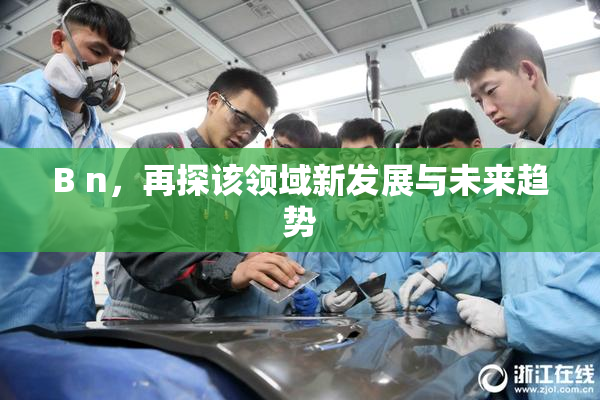 B n，再探该领域新发展与未来趋势