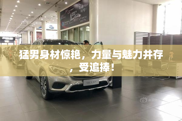 猛男身材惊艳，力量与魅力并存，受追捧！