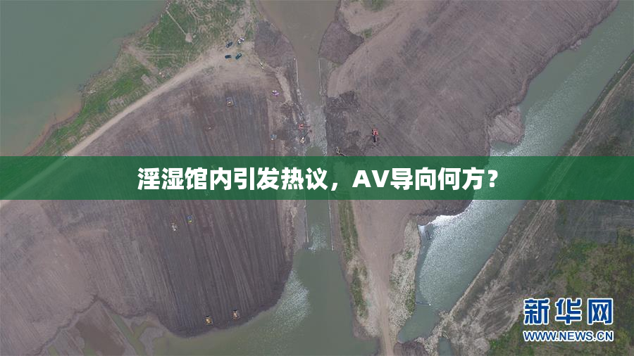 淫湿馆内引发热议，AV导向何方？