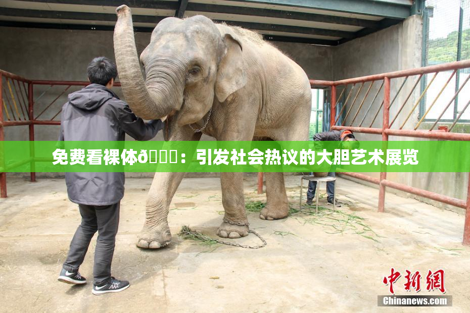 免费看裸体🔞：引发社会热议的大胆艺术展览