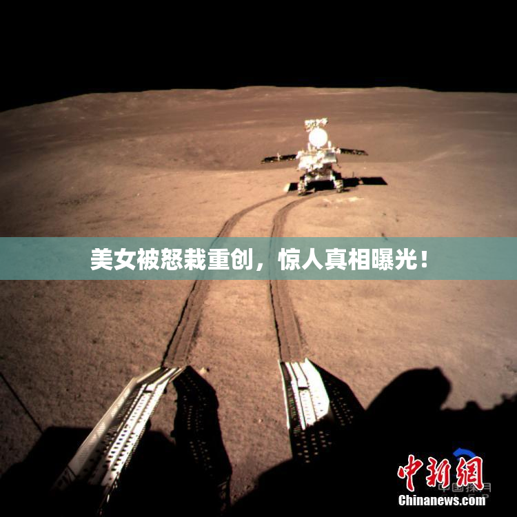 美女被怒栽重创，惊人真相曝光！