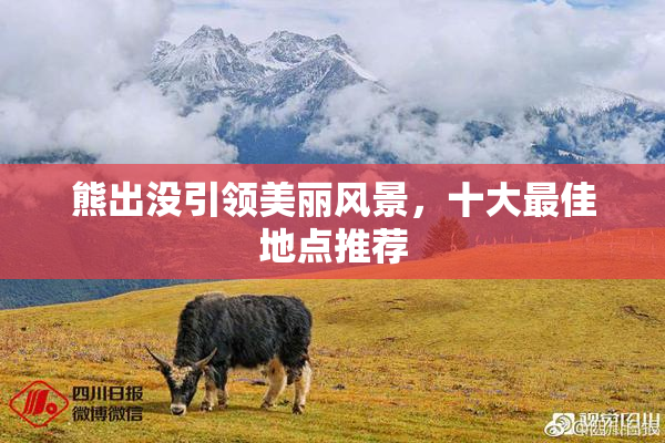 熊出没引领美丽风景，十大最佳地点推荐