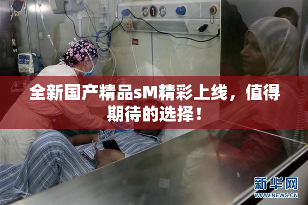 全新国产精品sM精彩上线，值得期待的选择！