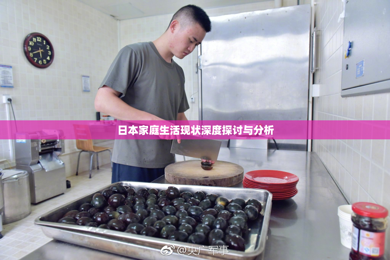 日本家庭生活现状深度探讨与分析