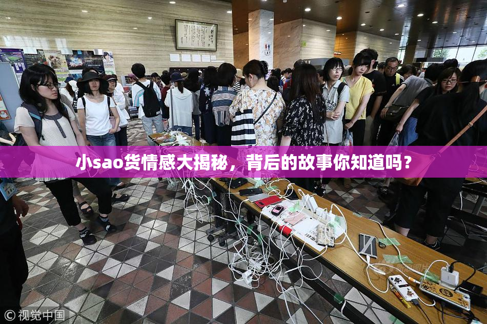 小sao货情感大揭秘，背后的故事你知道吗？