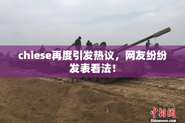 chiese再度引发热议，网友纷纷发表看法！