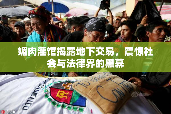 媚肉淫馆揭露地下交易，震惊社会与法律界的黑幕