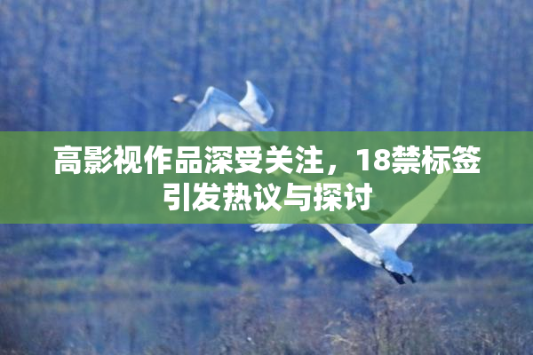 高影视作品深受关注，18禁标签引发热议与探讨