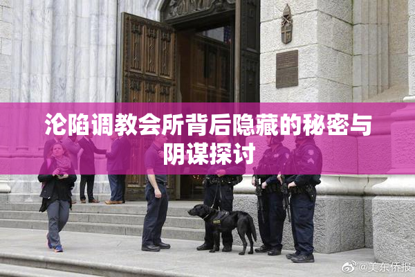 沦陷调教会所背后隐藏的秘密与阴谋探讨