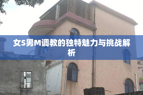 女S男M调教的独特魅力与挑战解析