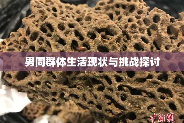 男同群体生活现状与挑战探讨