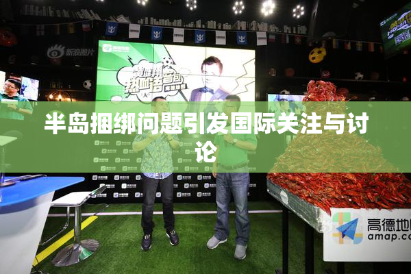 半岛捆绑问题引发国际关注与讨论
