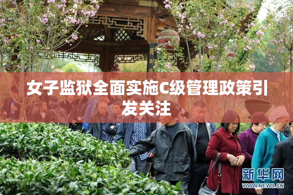 女子监狱全面实施C级管理政策引发关注