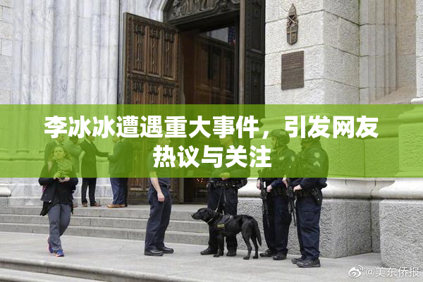 李冰冰遭遇重大事件，引发网友热议与关注