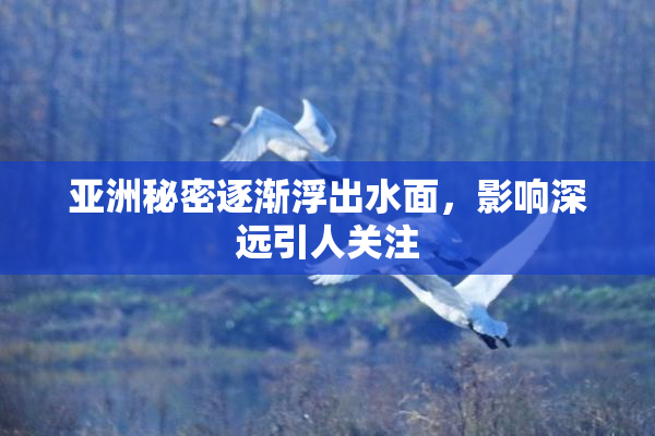 亚洲秘密逐渐浮出水面，影响深远引人关注