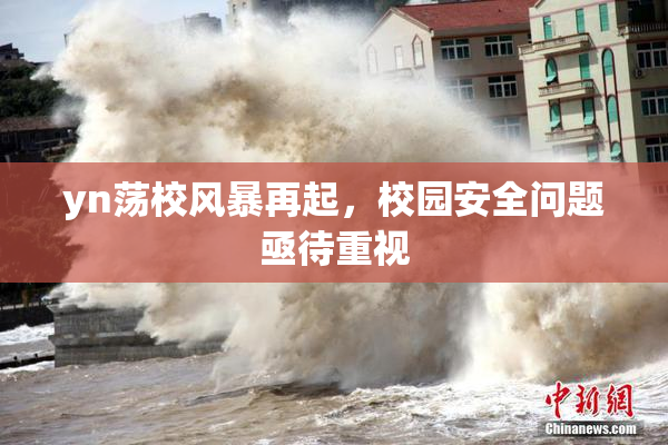 yn荡校风暴再起，校园安全问题亟待重视