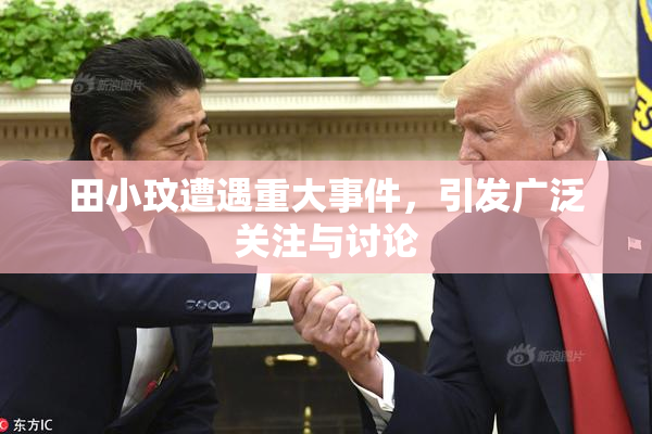 田小玟遭遇重大事件，引发广泛关注与讨论