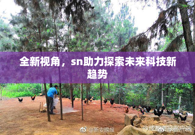 全新视角，sn助力探索未来科技新趋势