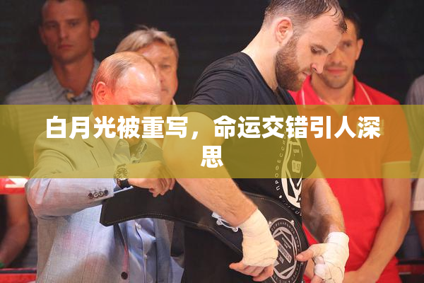 白月光被重写，命运交错引人深思