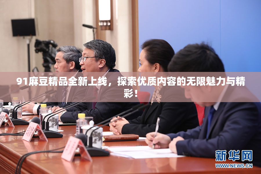 91麻豆精品全新上线，探索优质内容的无限魅力与精彩！