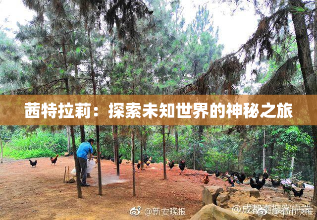 茜特拉莉：探索未知世界的神秘之旅