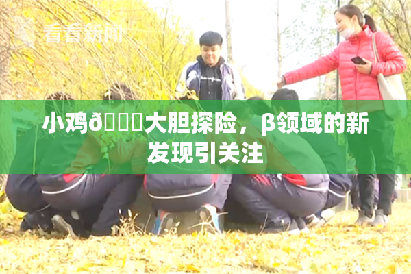 小鸡🐔大胆探险，β领域的新发现引关注