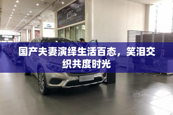 国产夫妻演绎生活百态，笑泪交织共度时光